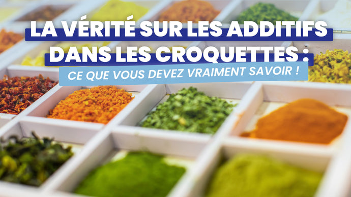 Révélons la Vérité sur les Additifs dans les Croquettes