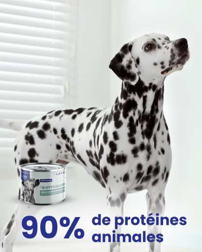Mousse Humide pour chien adulte HYPOALLERGENIQUE - Poulet - 24x200g