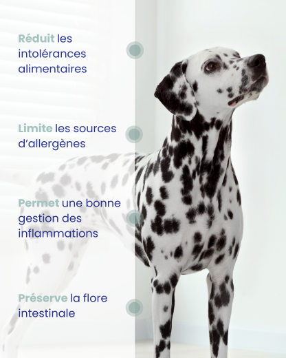 Mousse Humide pour chien adulte HYPOALLERGENIQUE - Poulet - 24x200g
