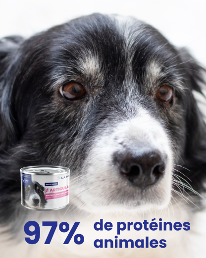 Mousse Humide pour chien adulte ARTICULAIRE - Poulet - 24x200g