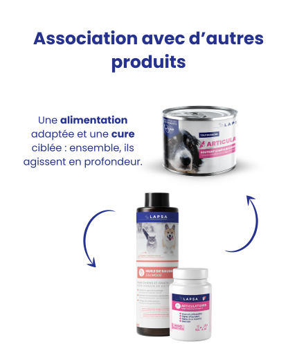 Mousse Humide pour chien adulte ARTICULAIRE - Poulet - 24x200g